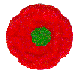 poppy3.gif (2662 bytes)