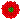 poppy3.gif (2662 bytes)
